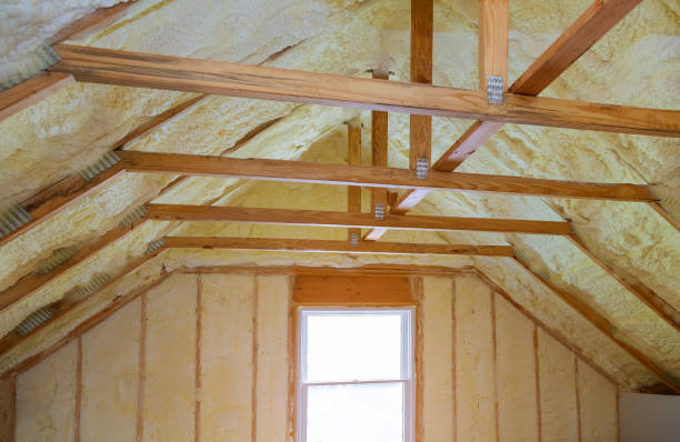 Best Eco-Friendly Insulation in Lavaca, AR