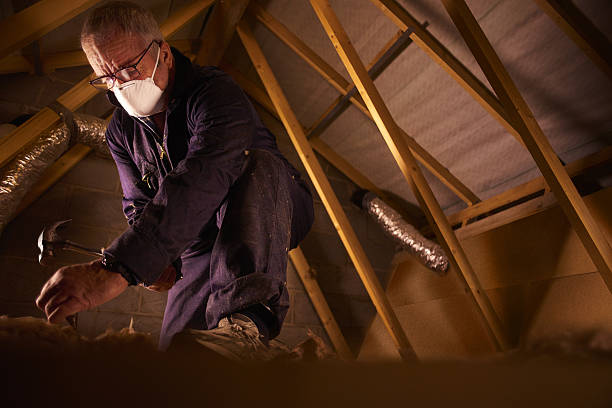 Types of Insulation We Offer in Lavaca, AR